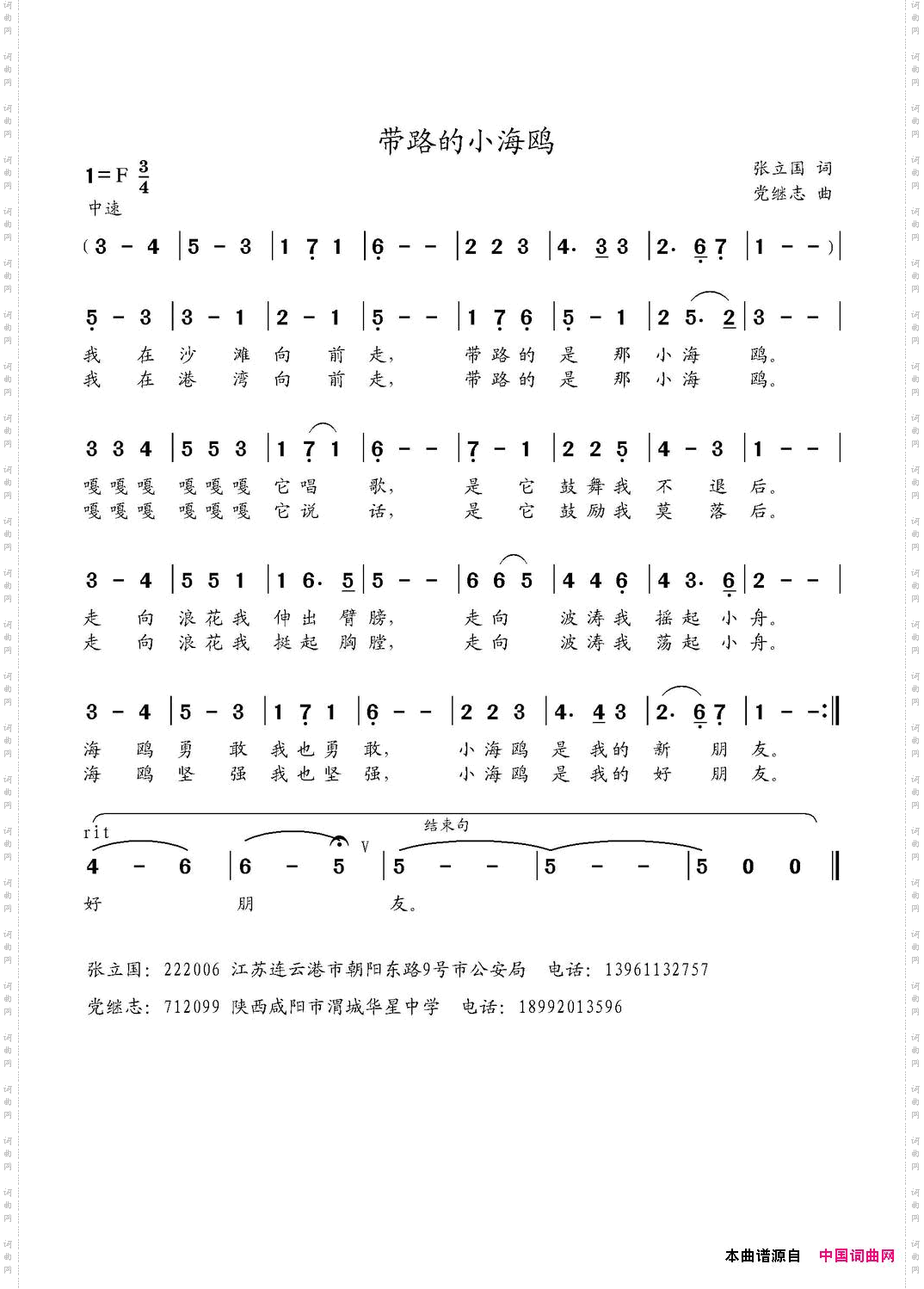 带路的小海鸥