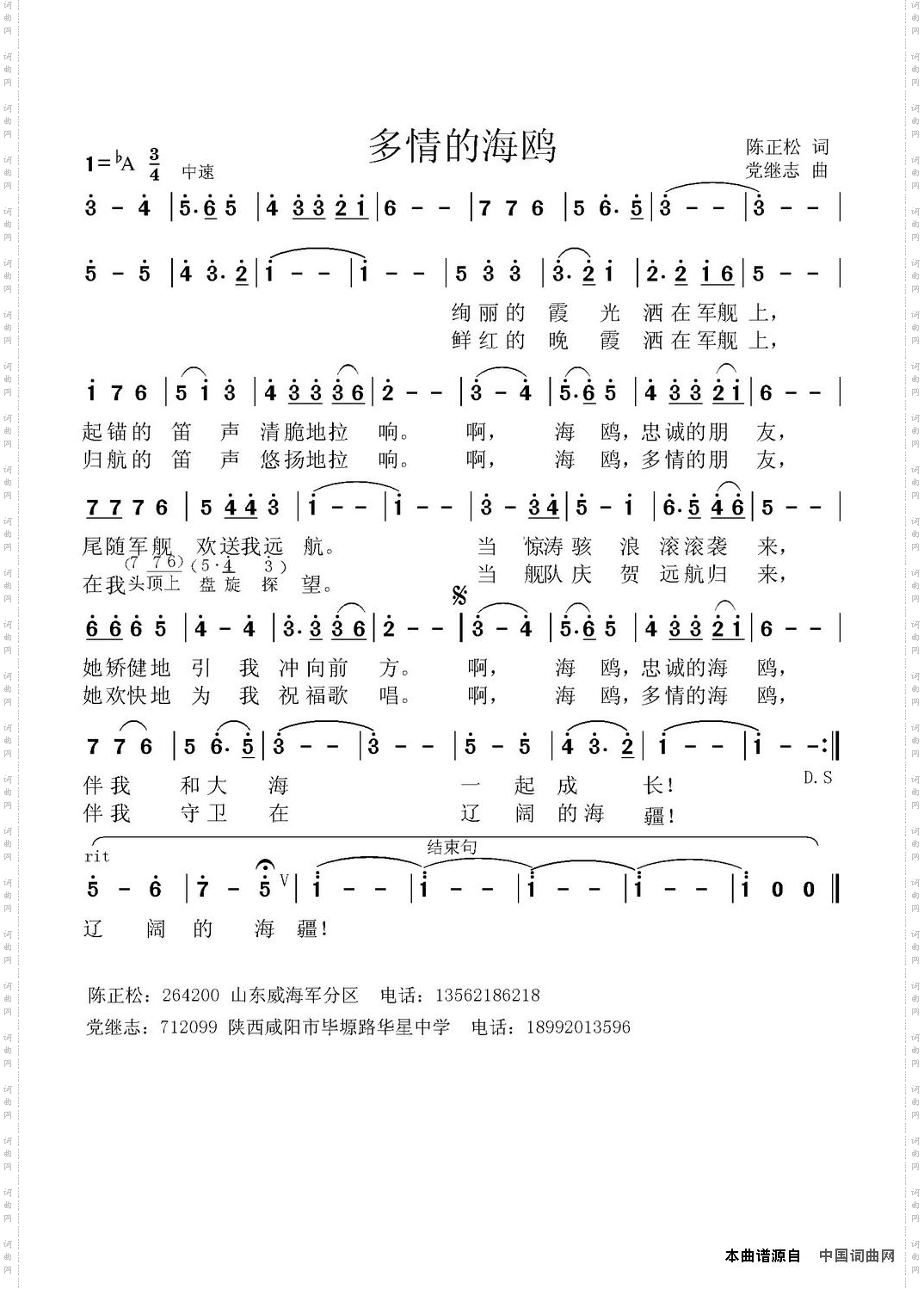 多情的海鸥