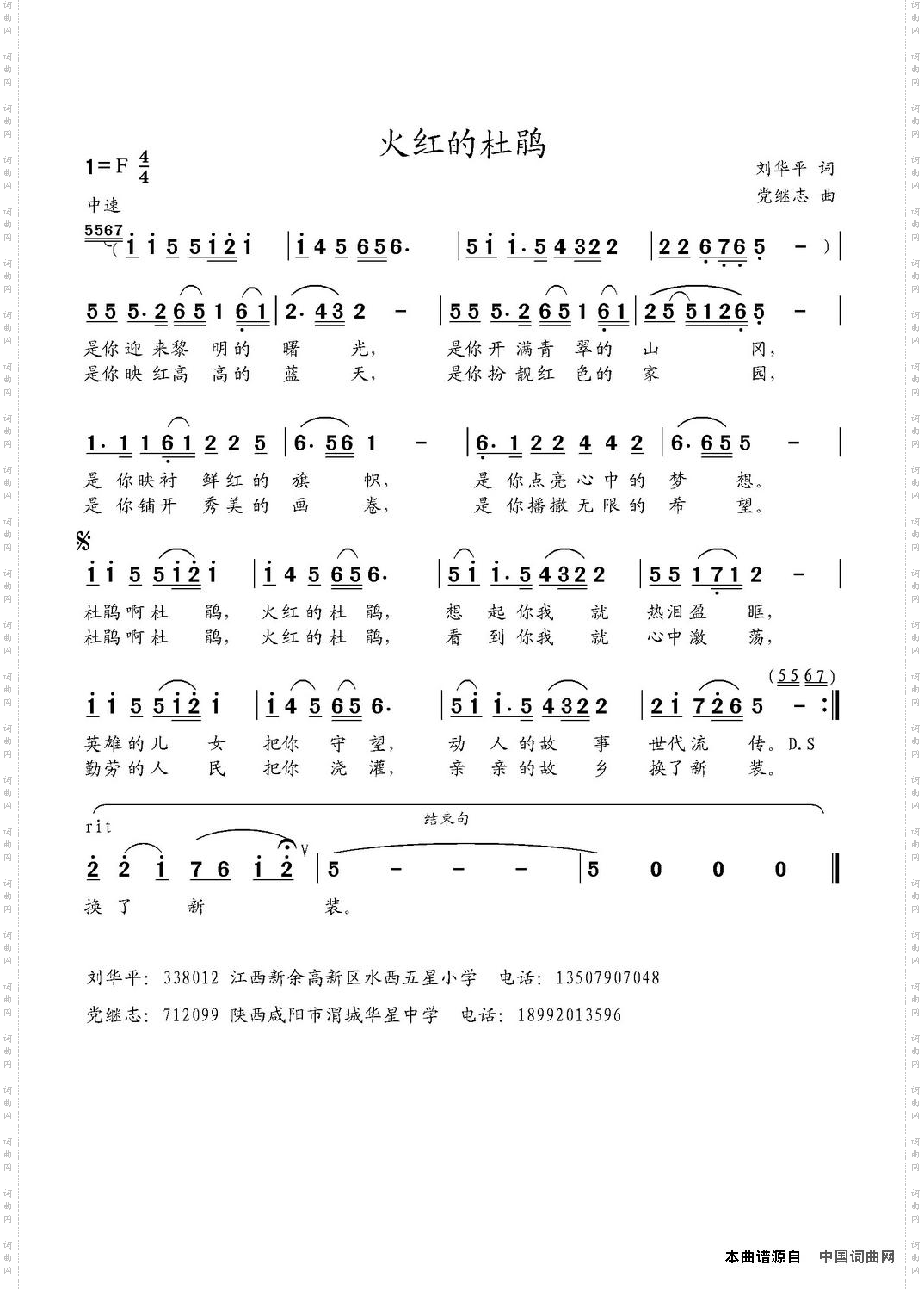 火红的杜鹃