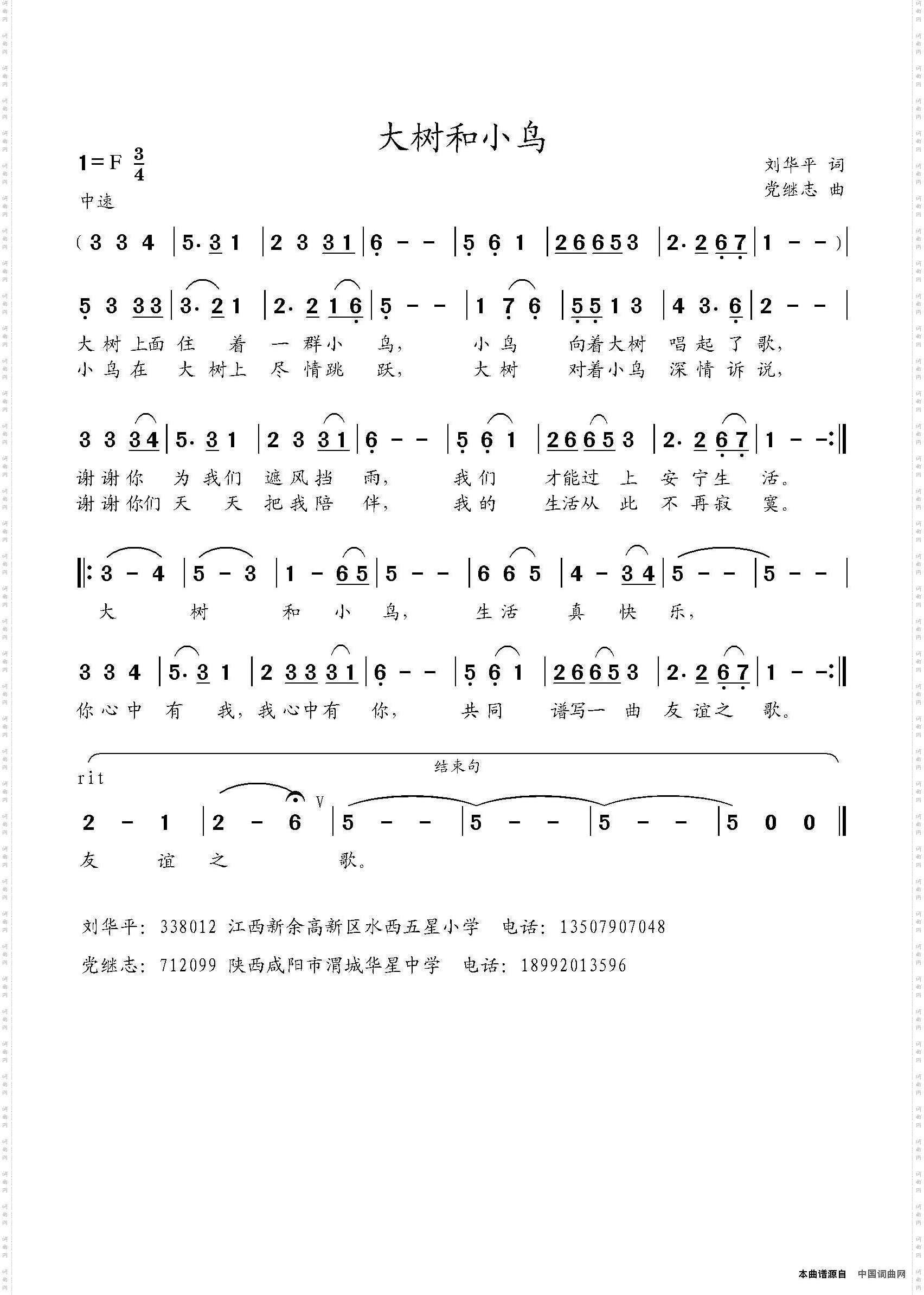 大树和小鸟