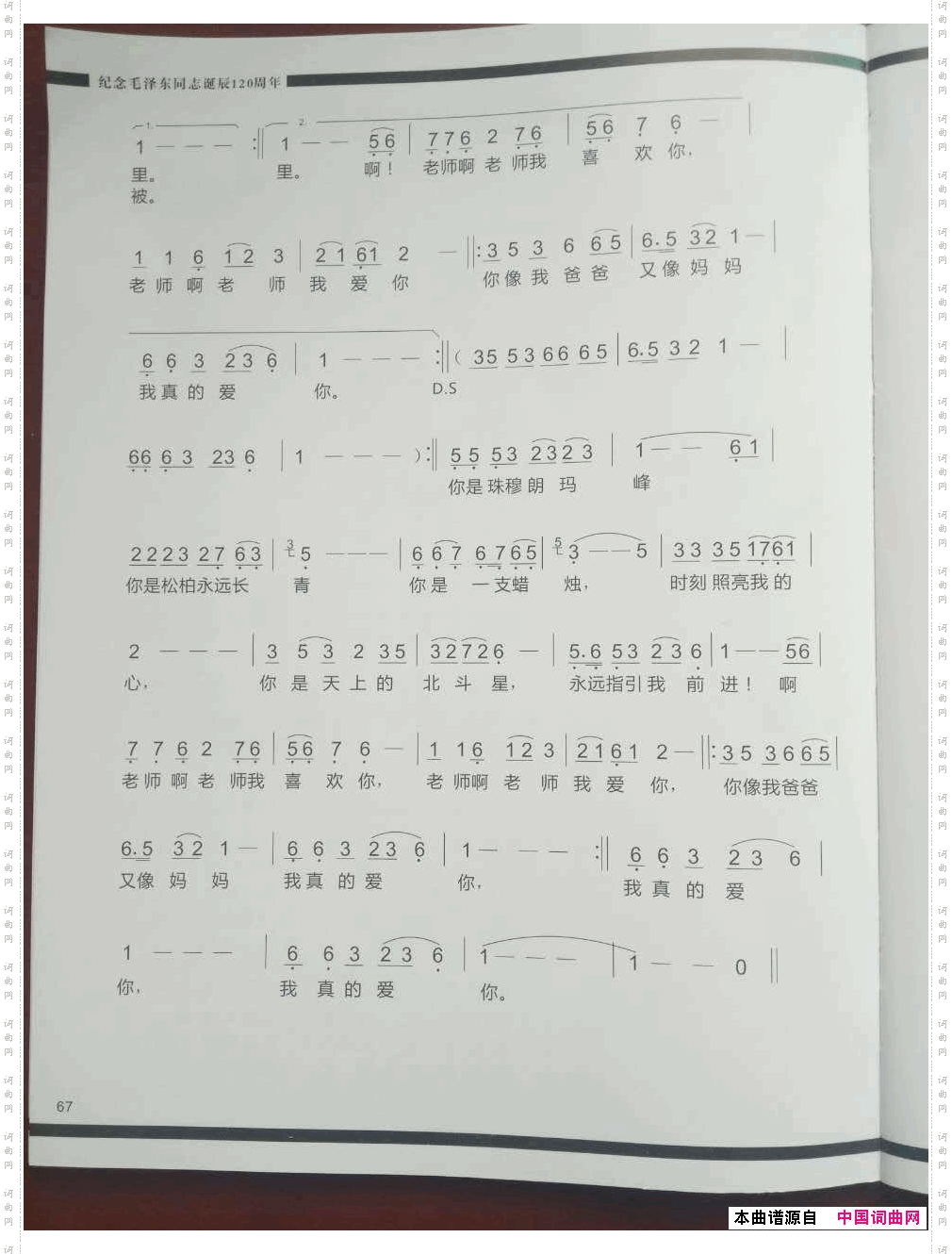 老师，我真的爱你