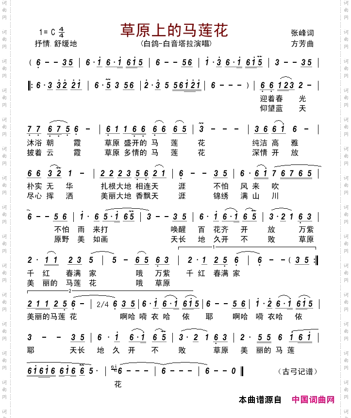 草原上的马莲花