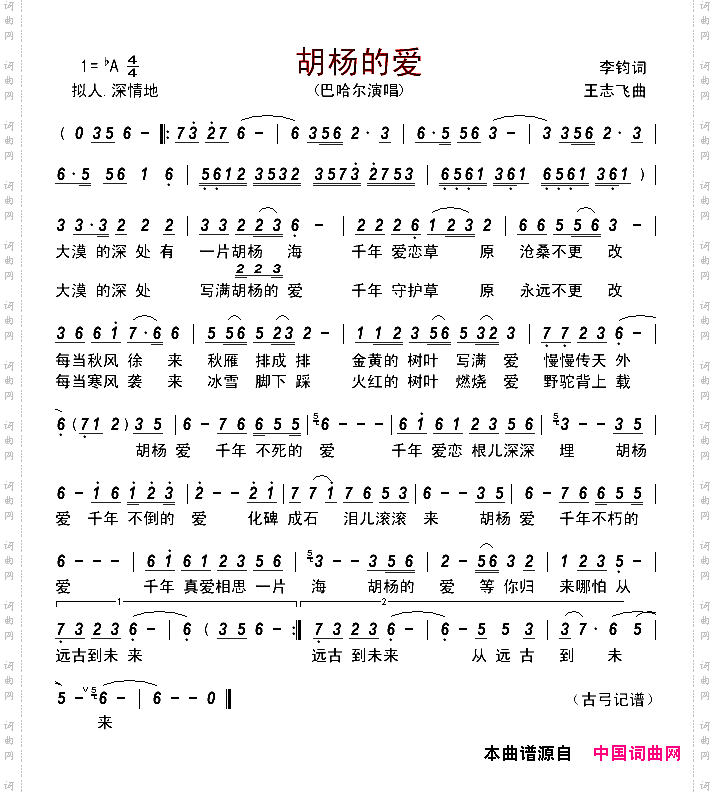 胡杨的爱