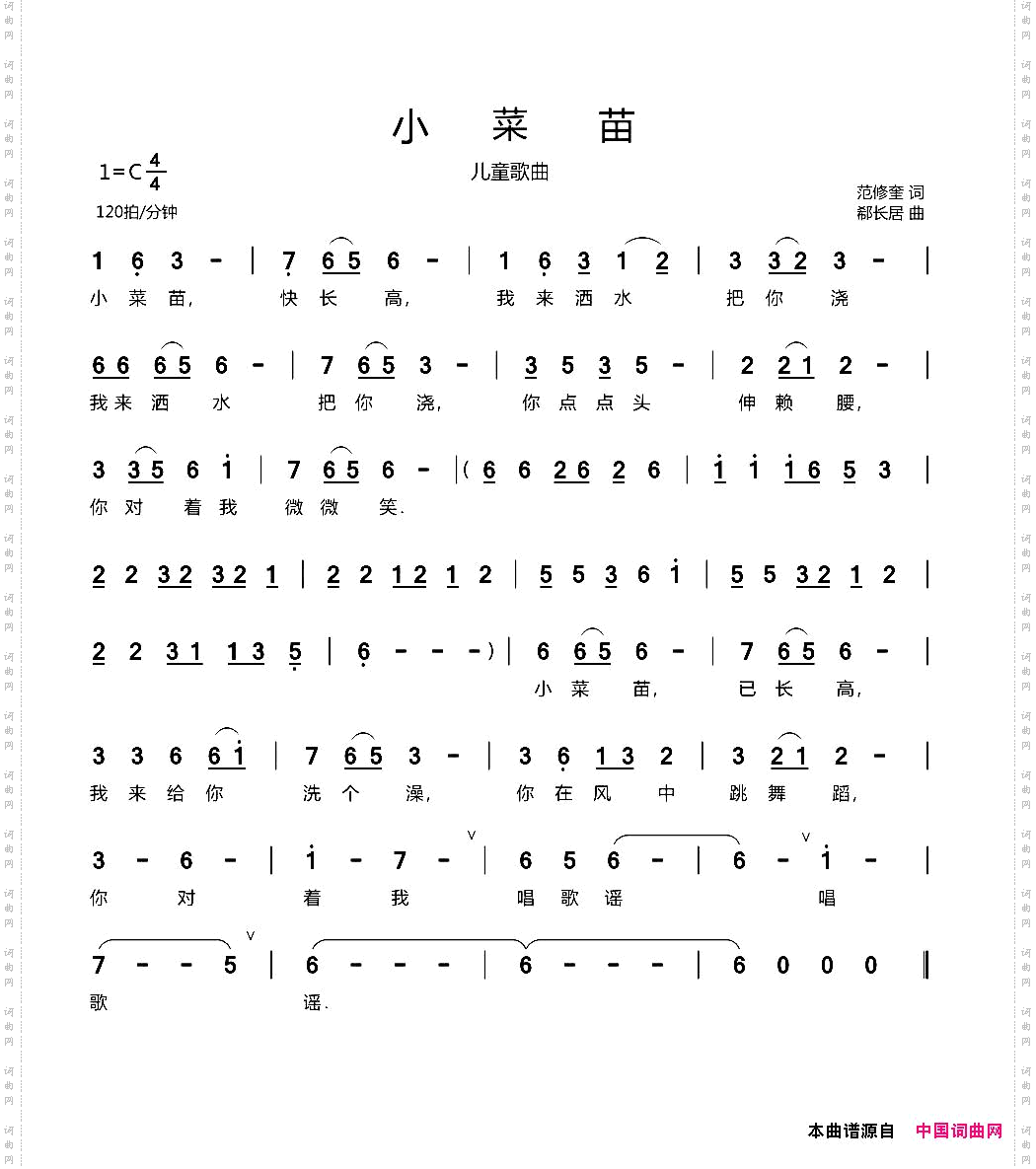 小菜苗