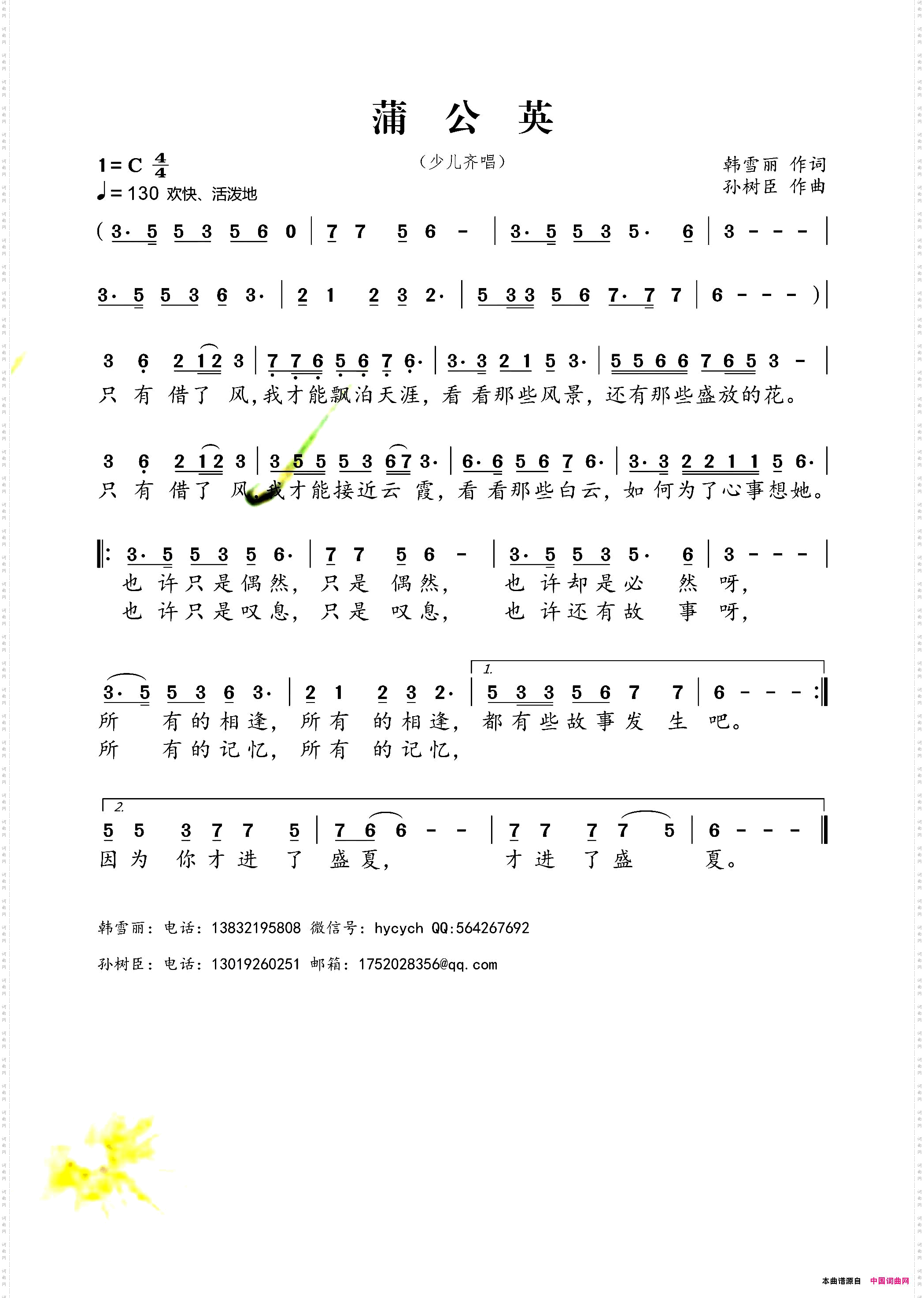 蒲公英
