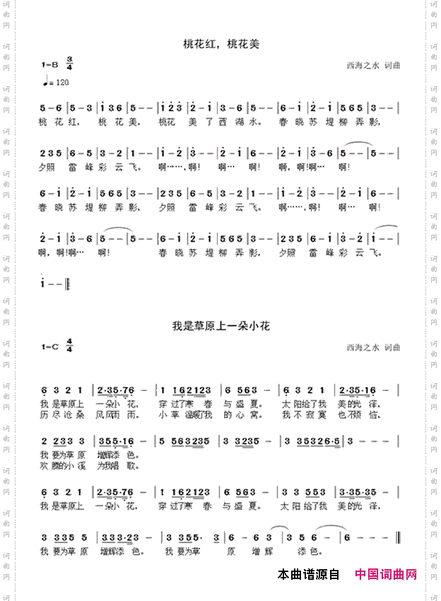 桃花美