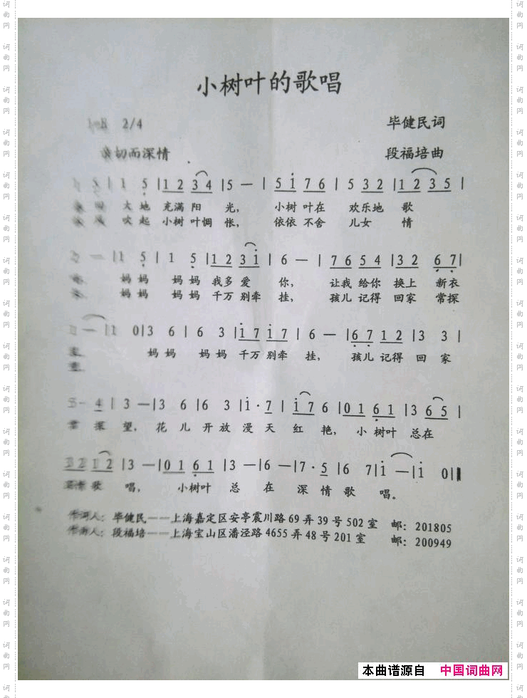 小树叶的歌唱