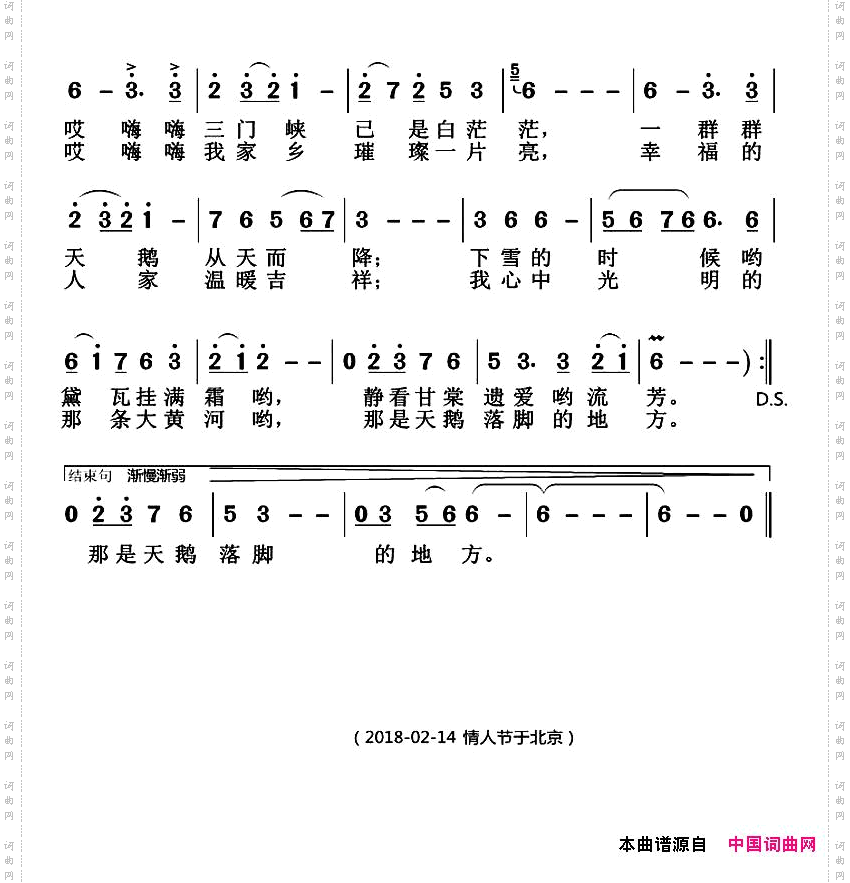白天鹅落脚的地方