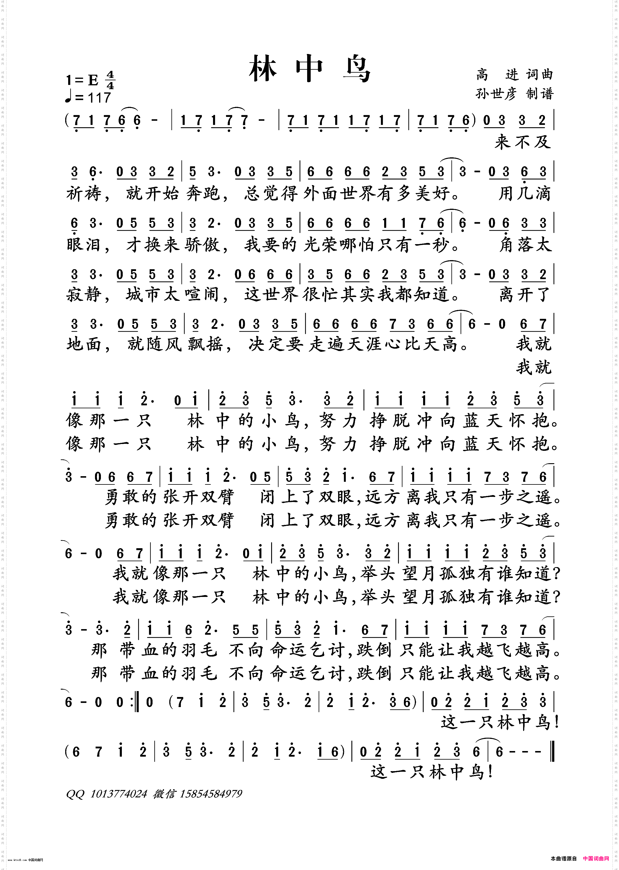 林中鸟