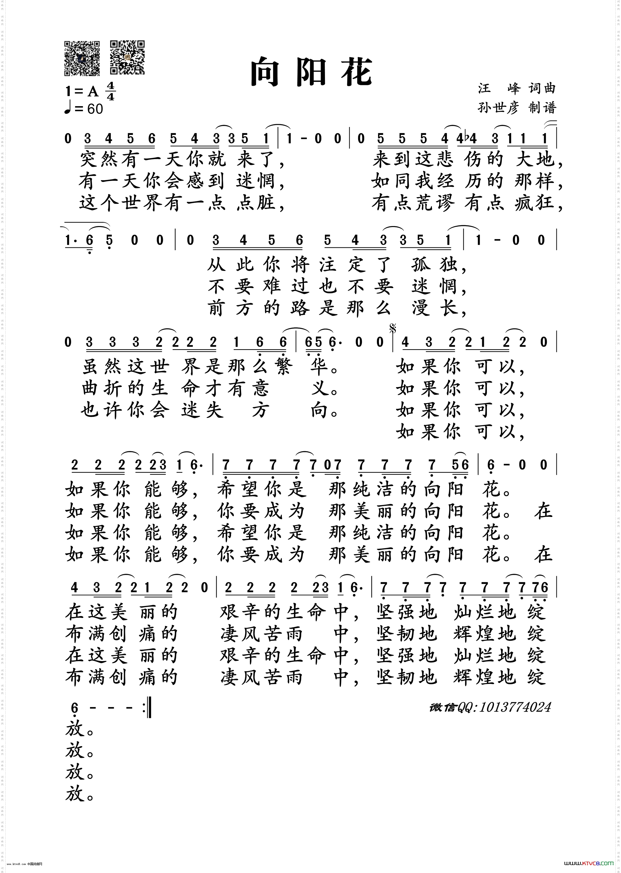汪峰向阳花
