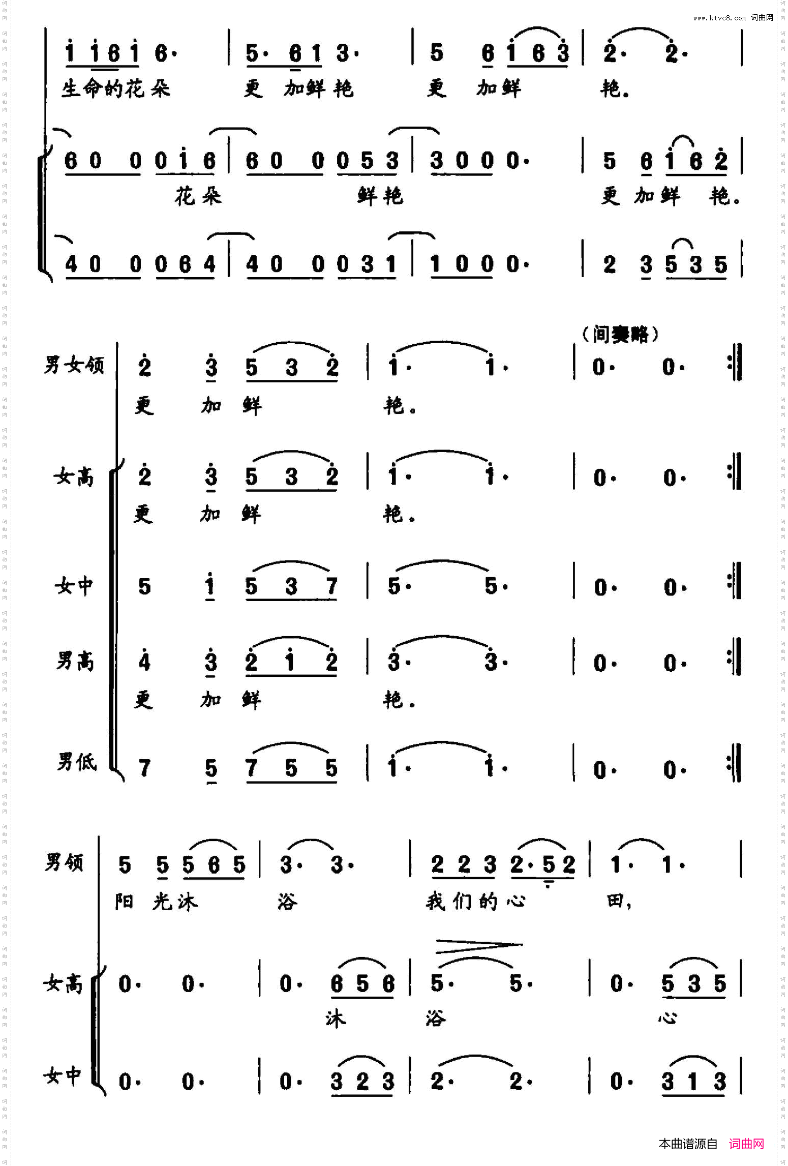 生命更精彩
