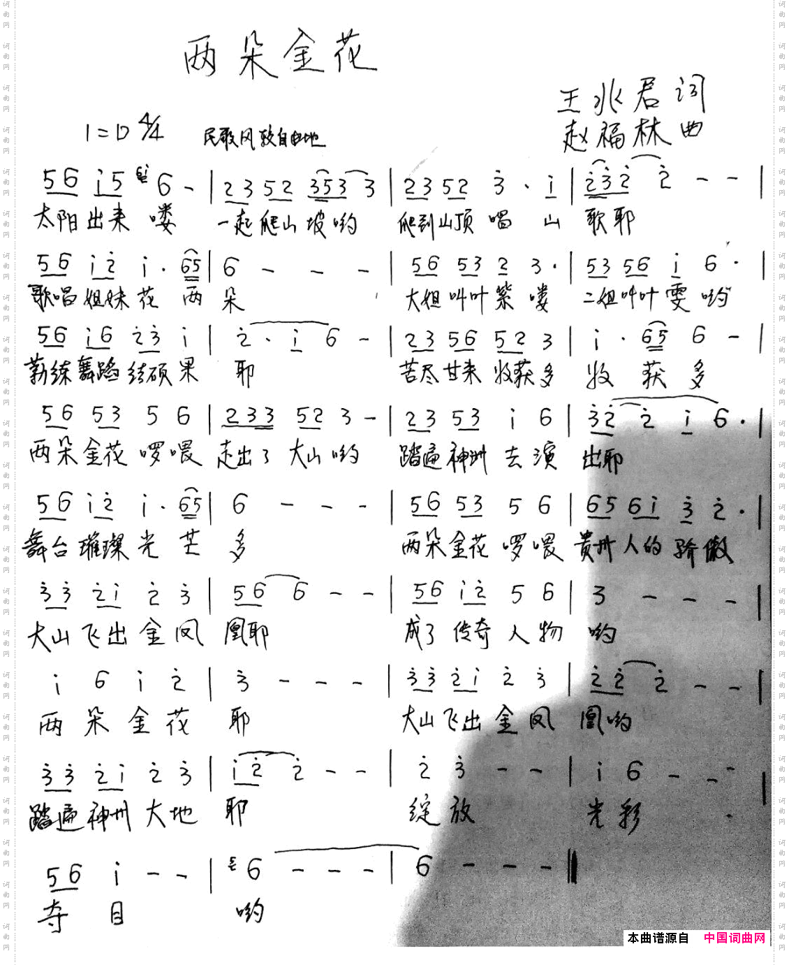 两朵金花