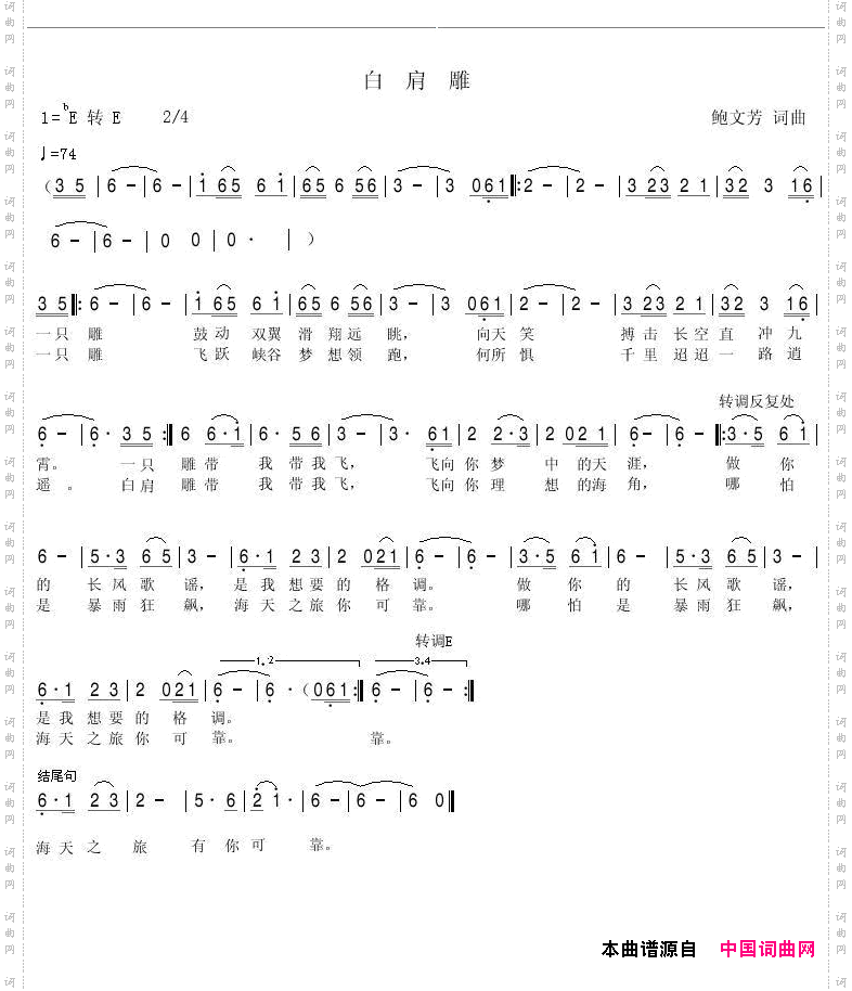 白肩雕