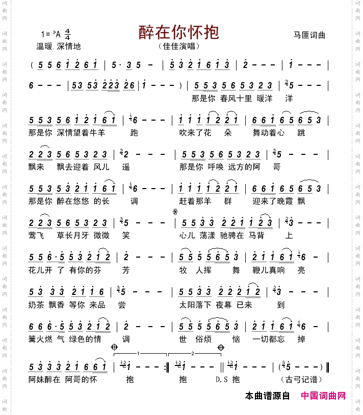 醉在你怀抱