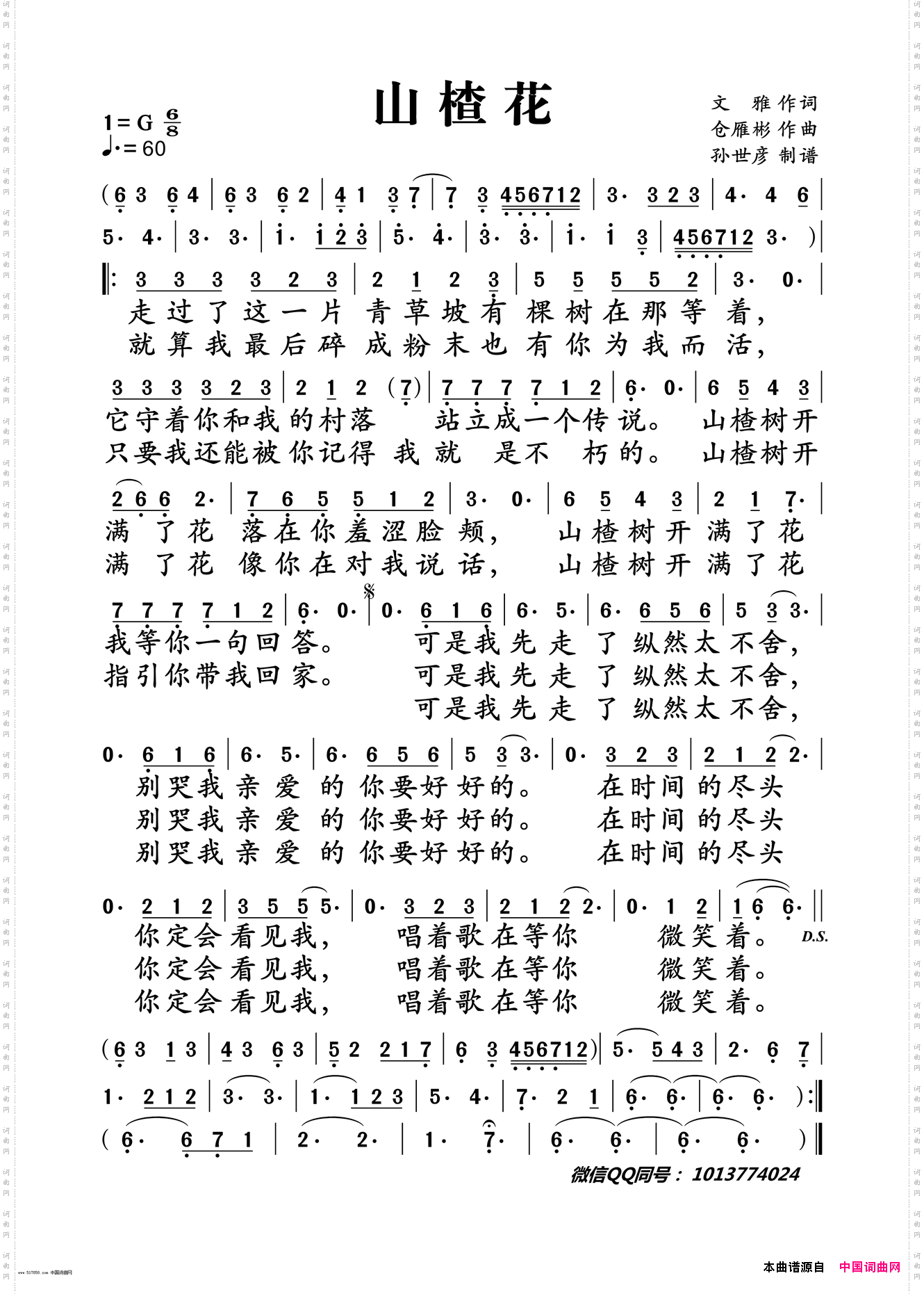 山楂花
