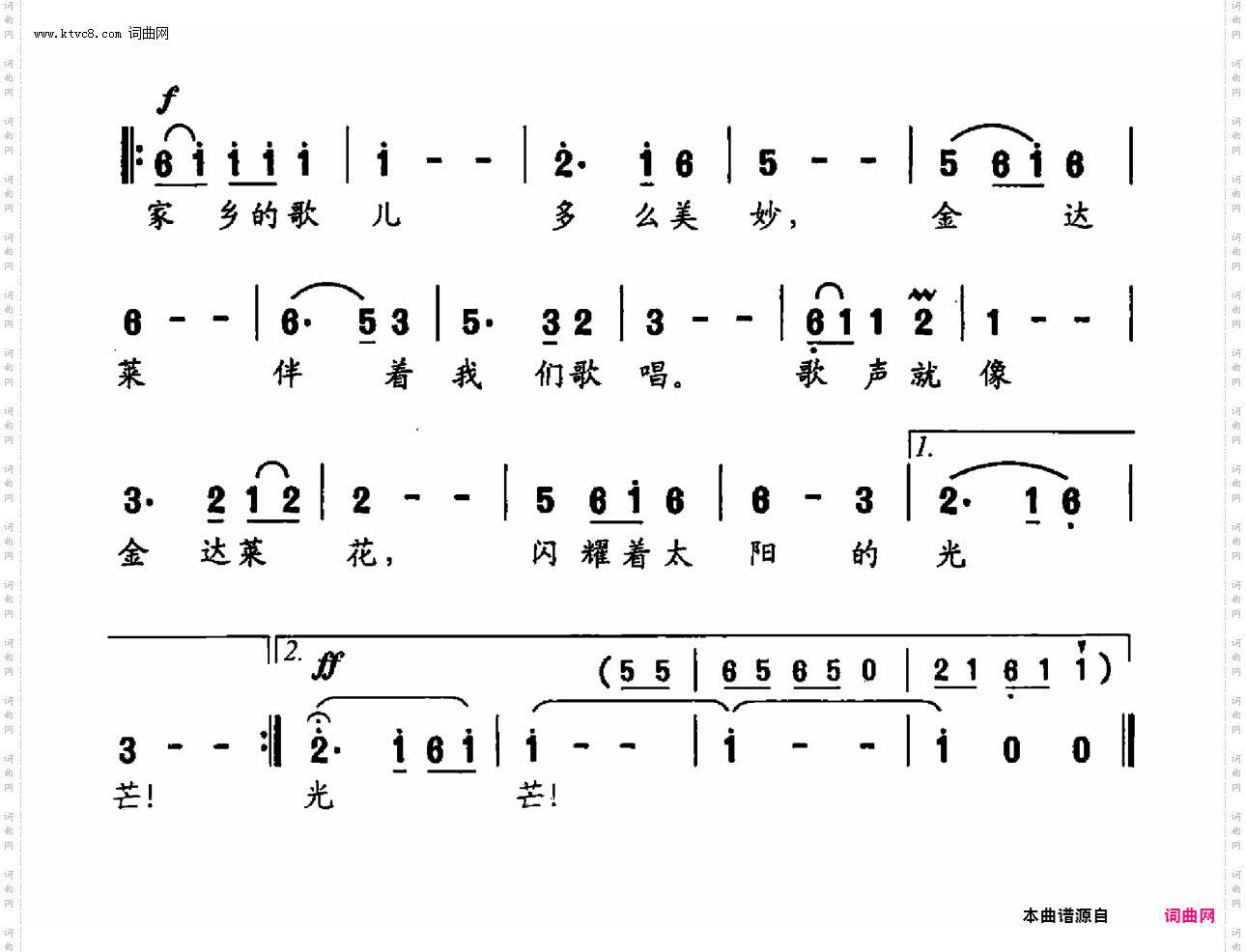 金达莱盛开怒放