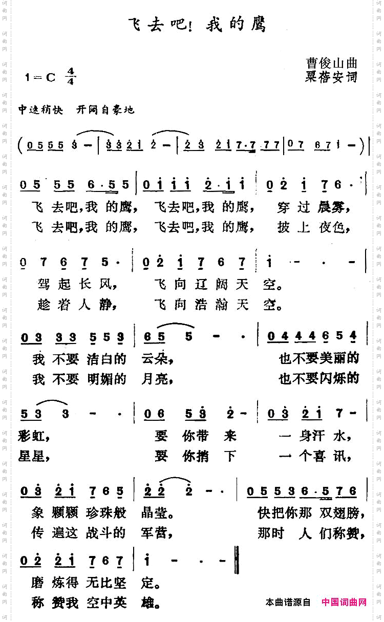 飞去吧！我的鹰
