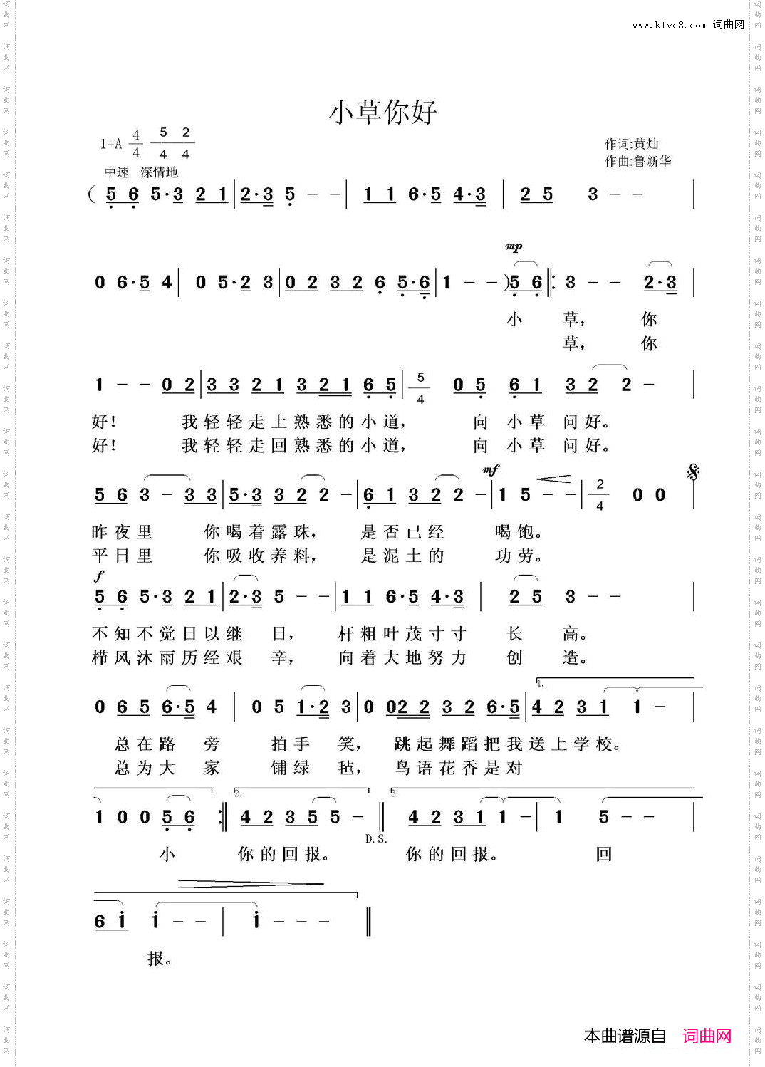 小草你好