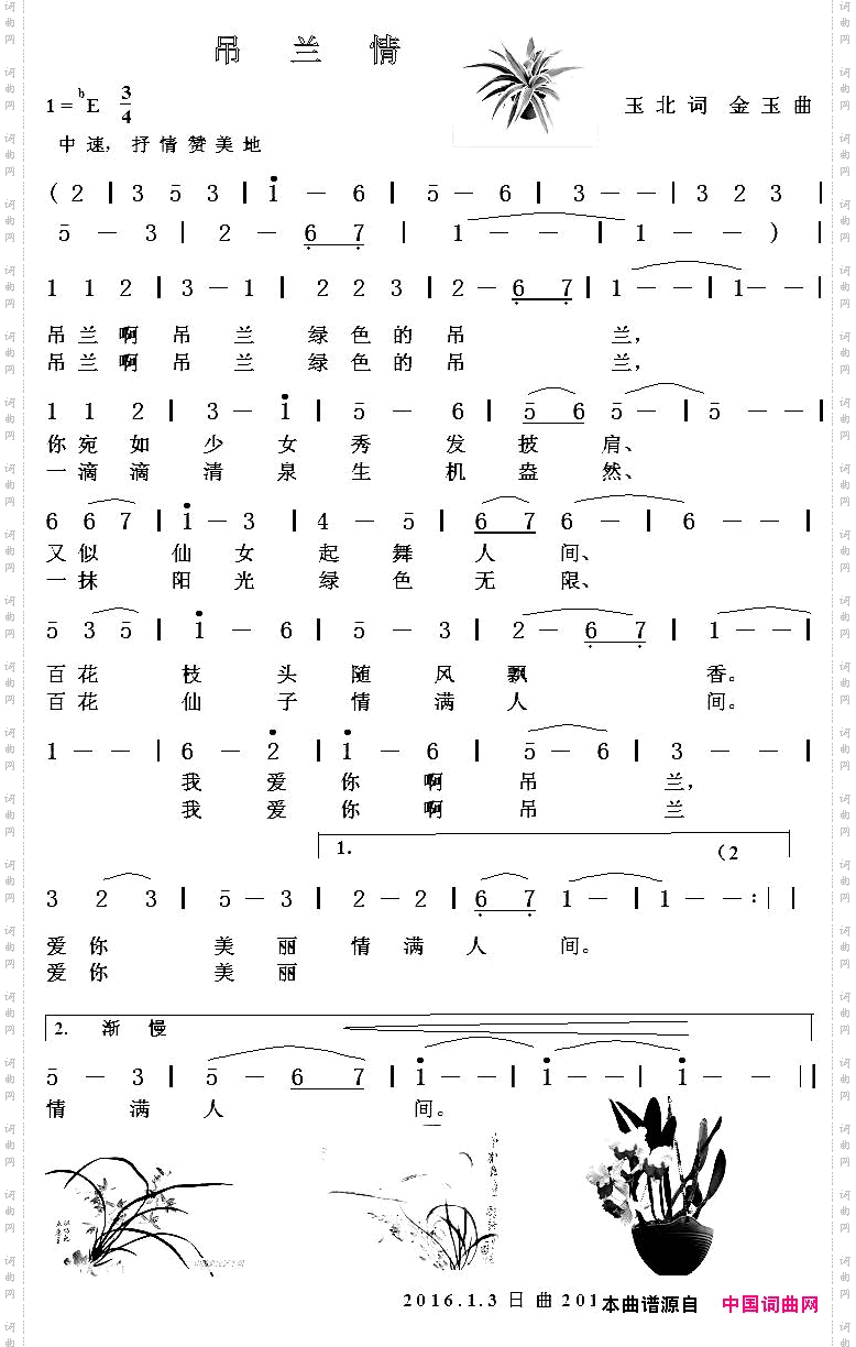 吊兰情