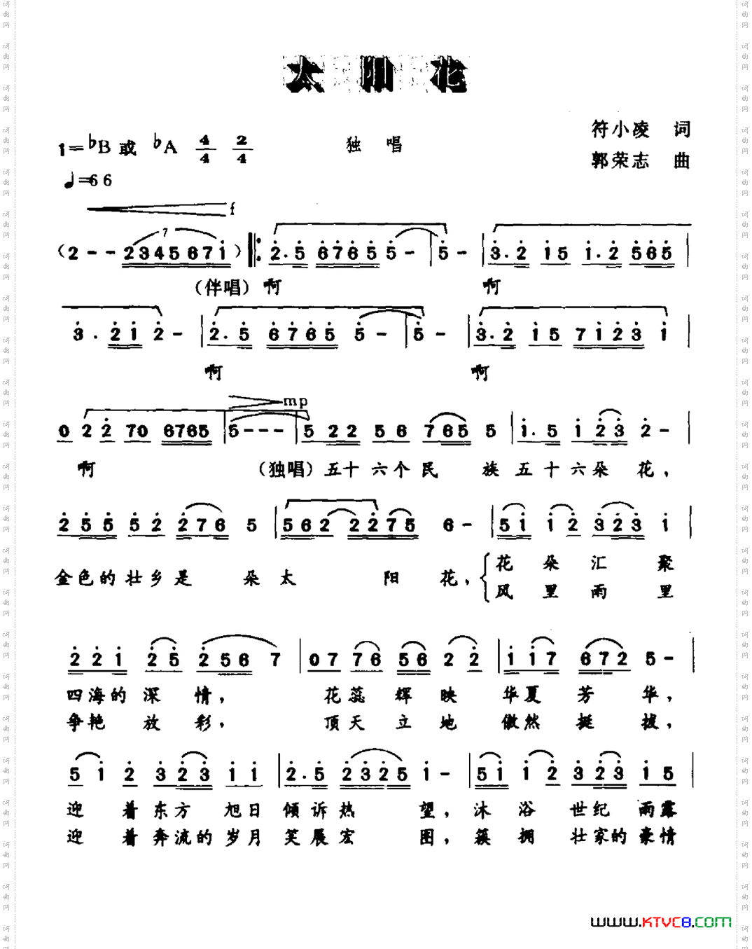 太阳花