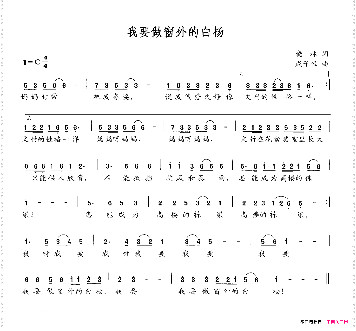 我要做窗外的白杨