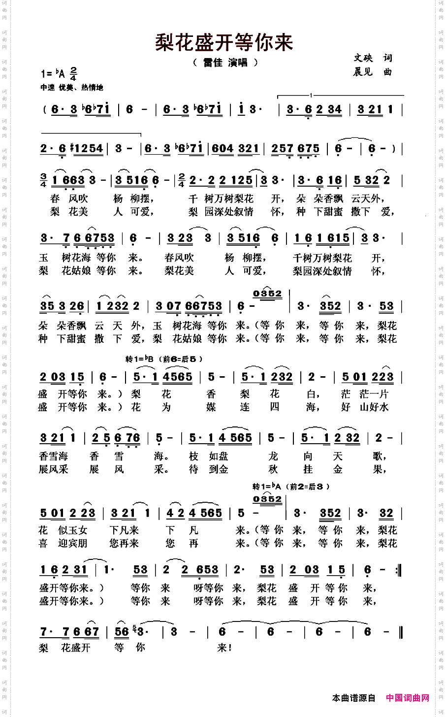 梨花盛开等你来