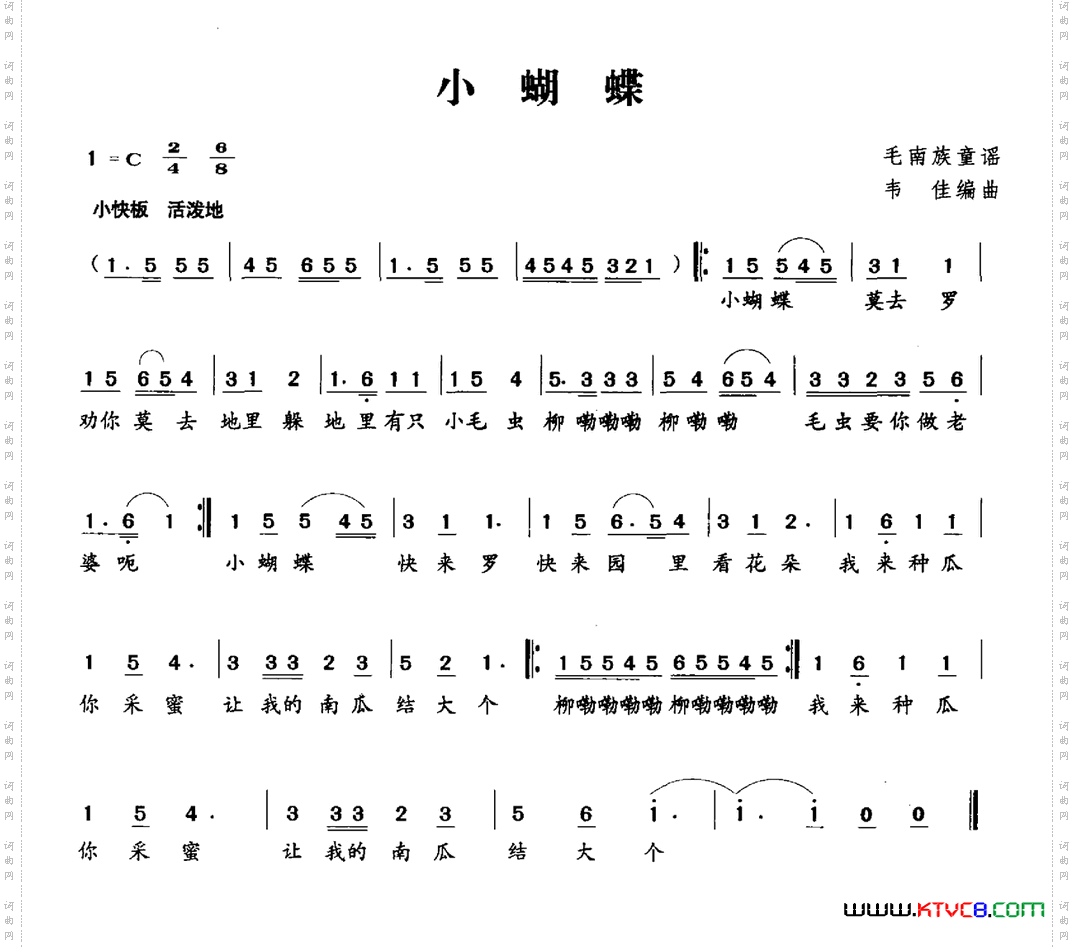 小蝴蝶