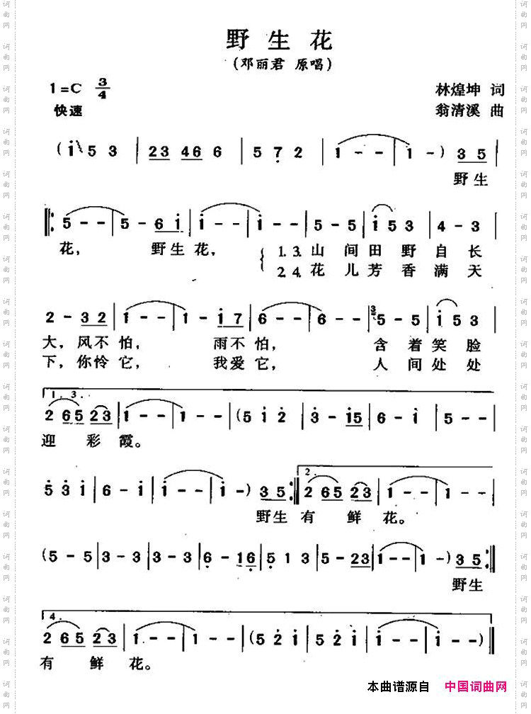 野生花