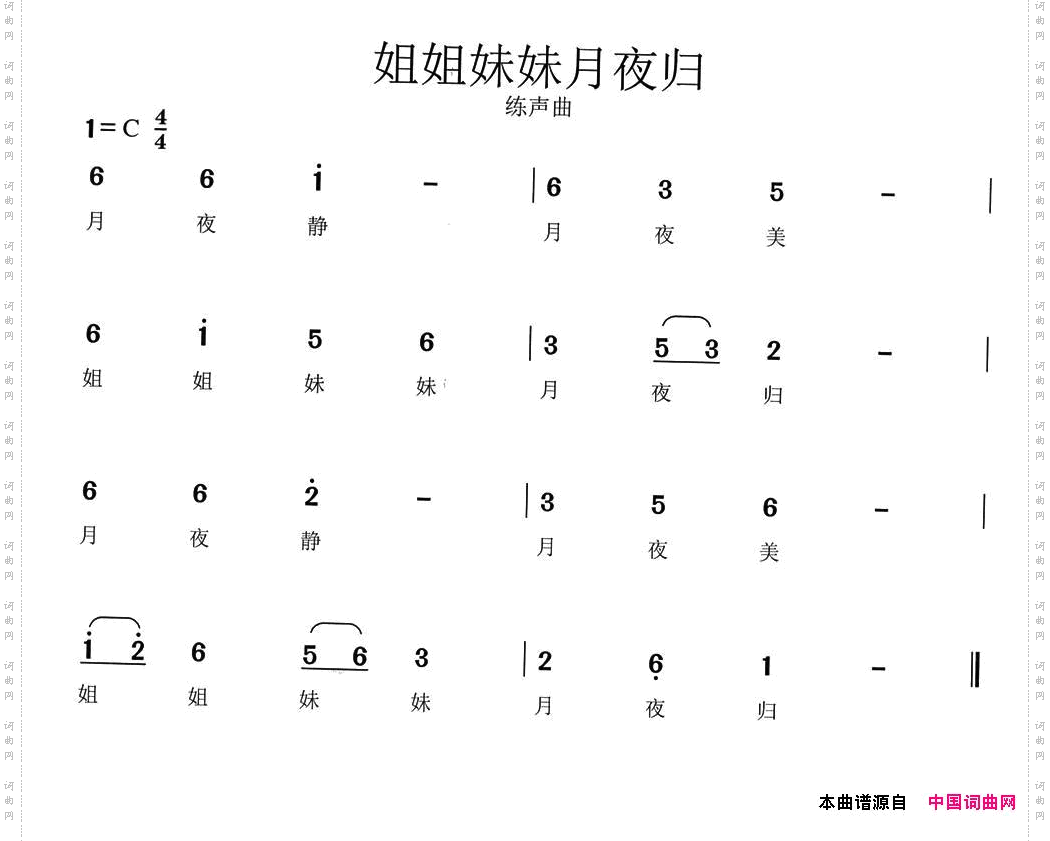 姐姐妹妹月夜归