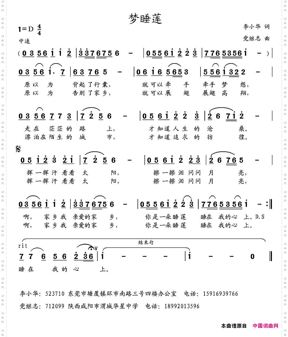 梦睡莲