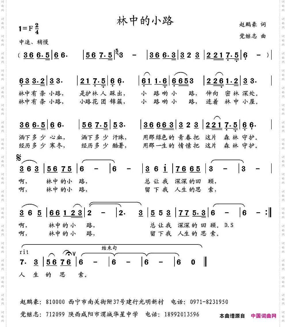 林中的小路