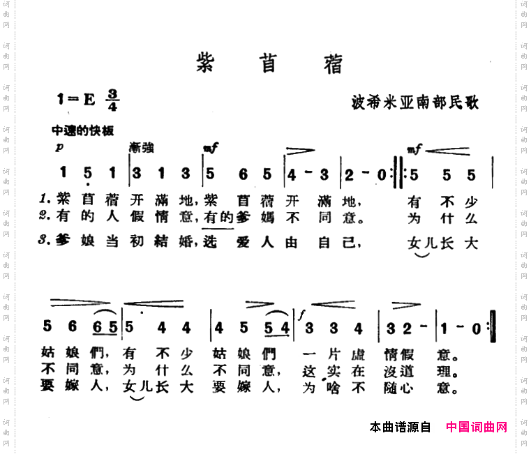 [捷]紫苜蓿