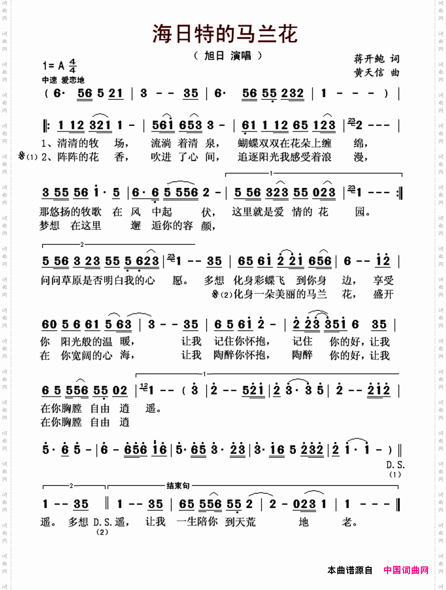 海日特的马兰花