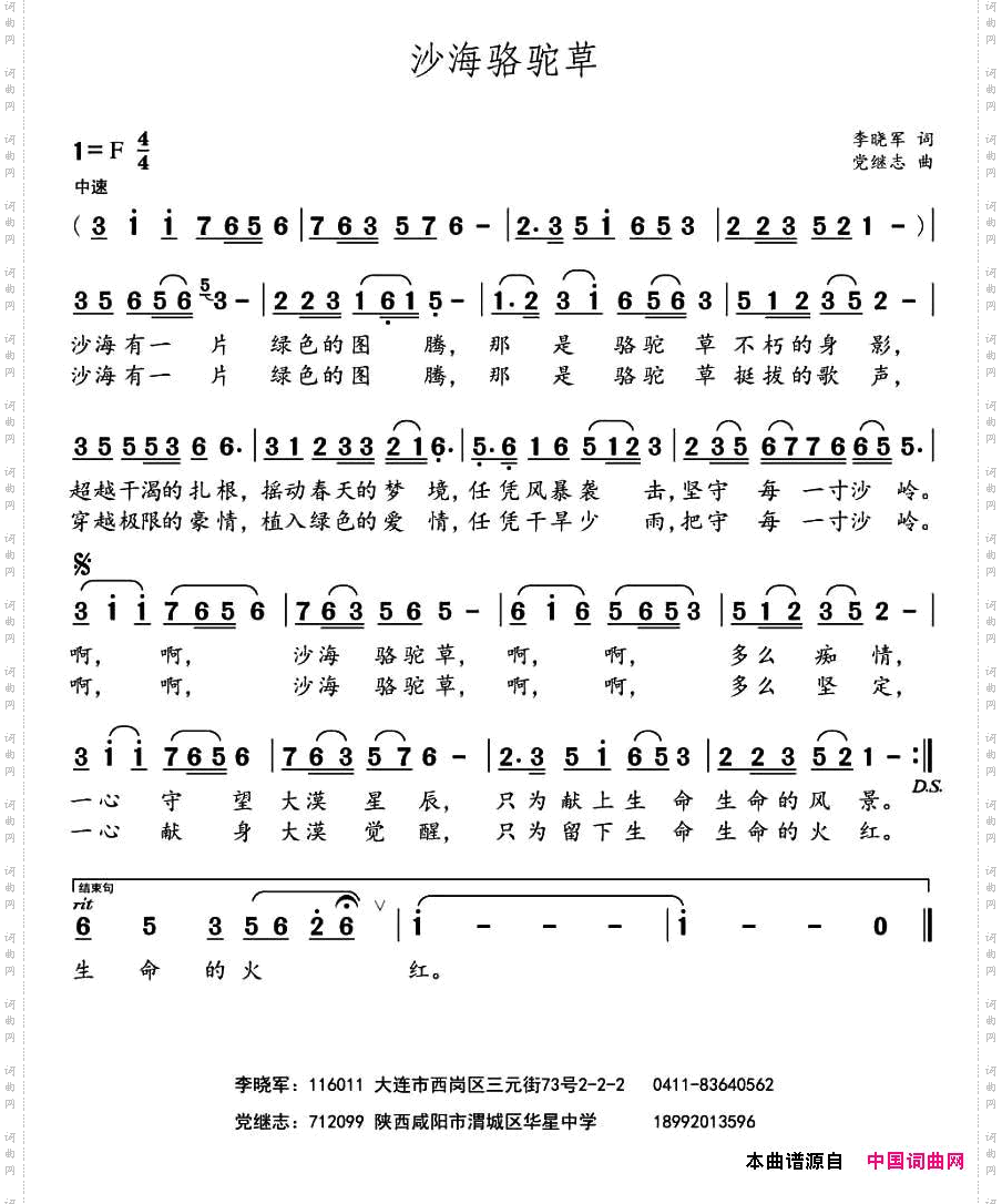 沙海骆驼草