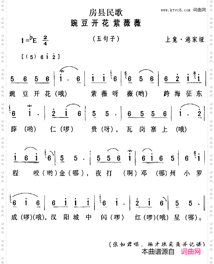 房县民歌：豌豆开花紫薇薇