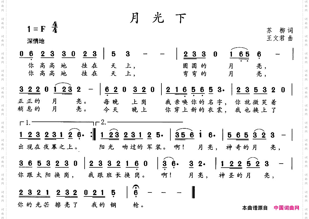 月光下