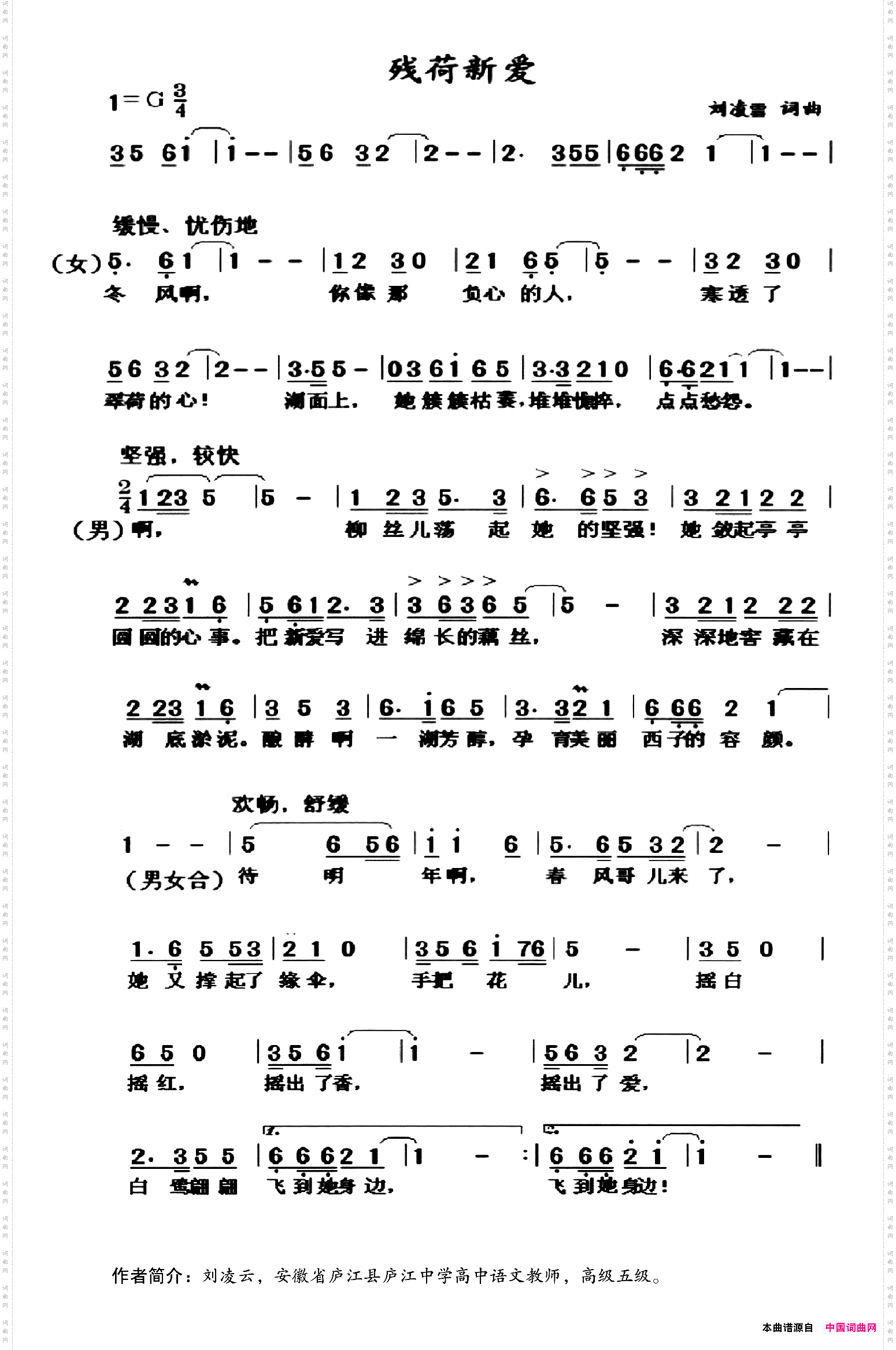 残荷新爱
