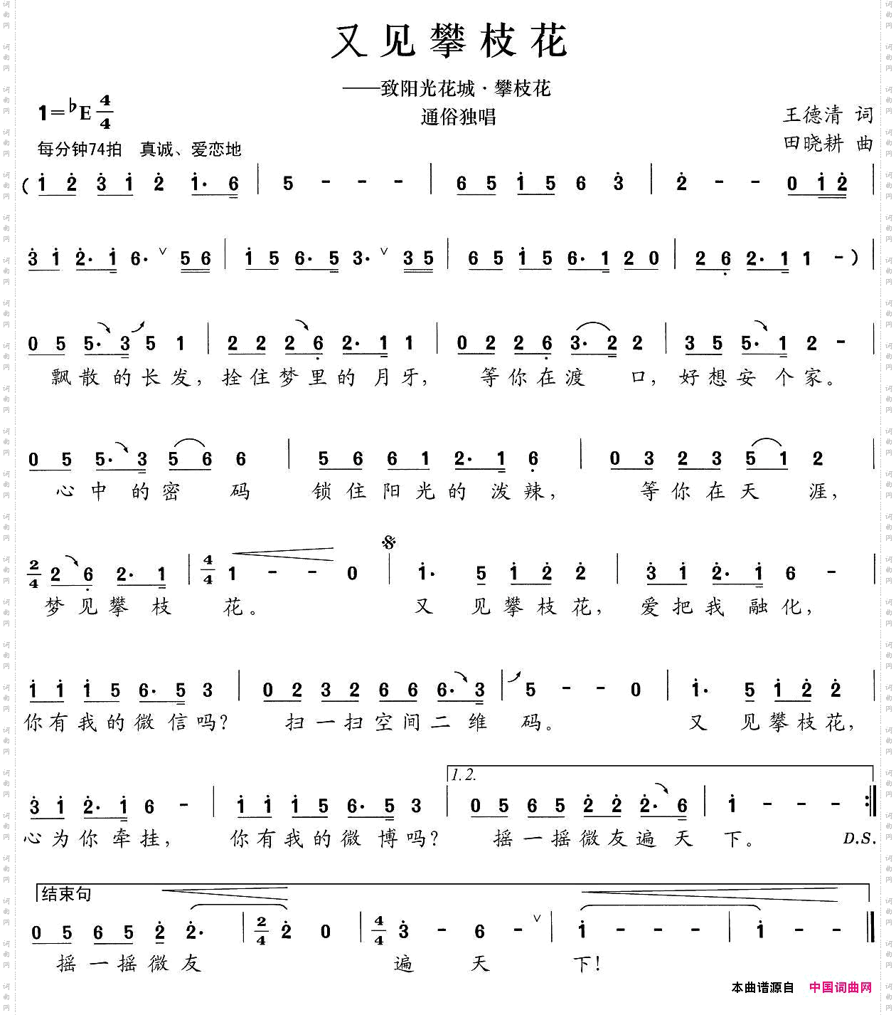 又见攀枝花