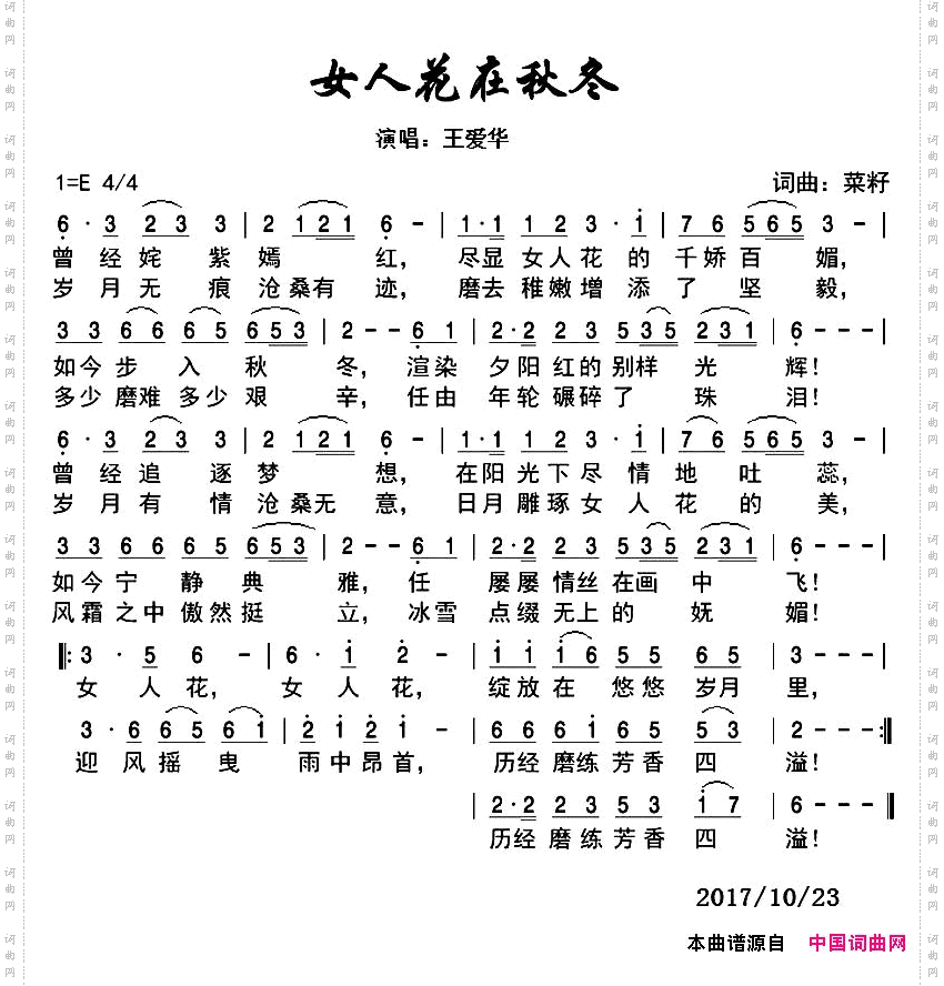 女人花在秋冬