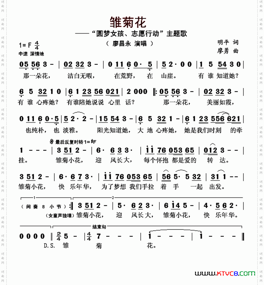 雏菊花