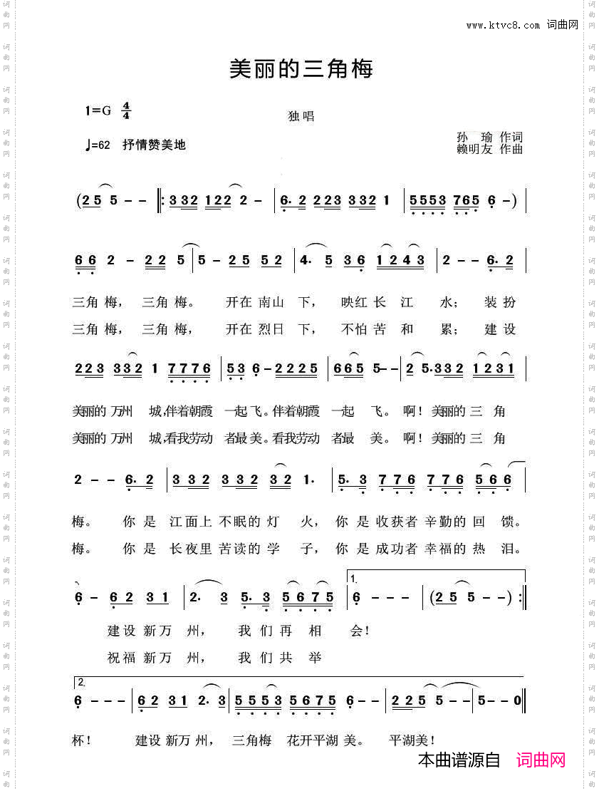 美丽的三角梅