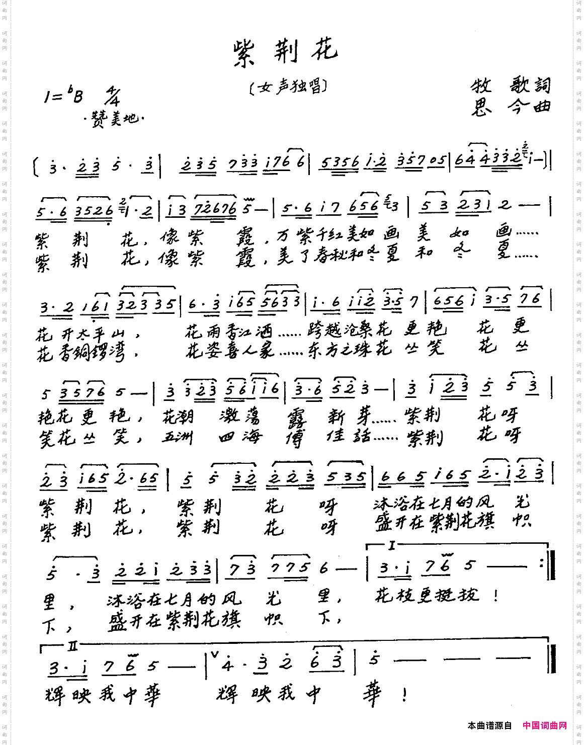 紫荆花