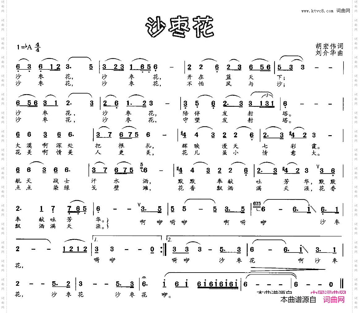 沙枣花