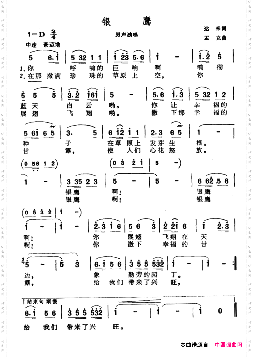 银鹰
