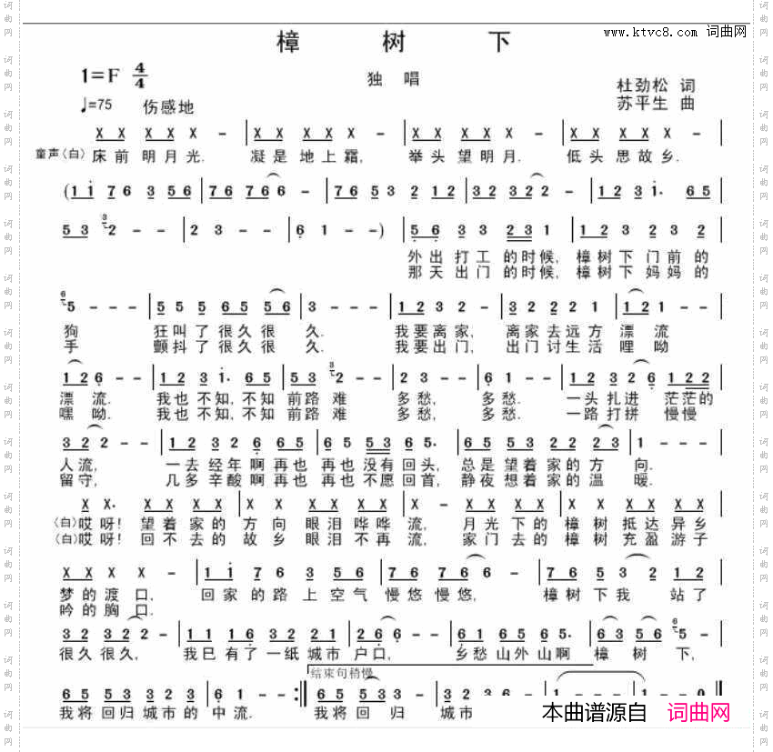 樟树下