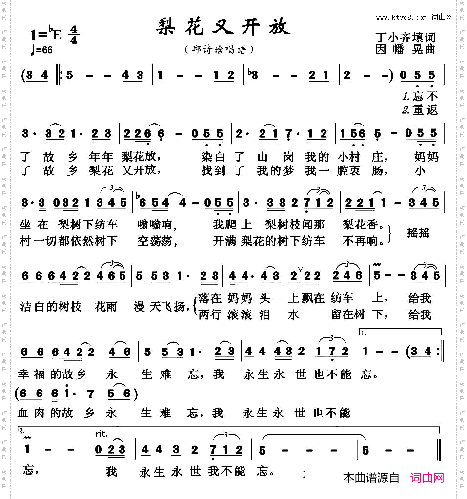 梨花又开放