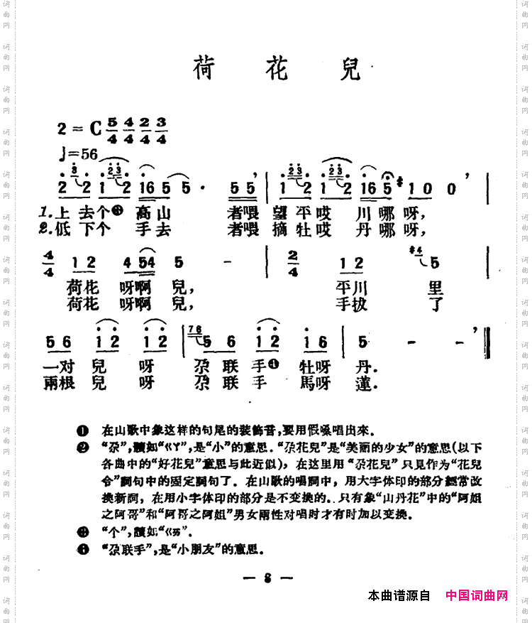 荷花儿