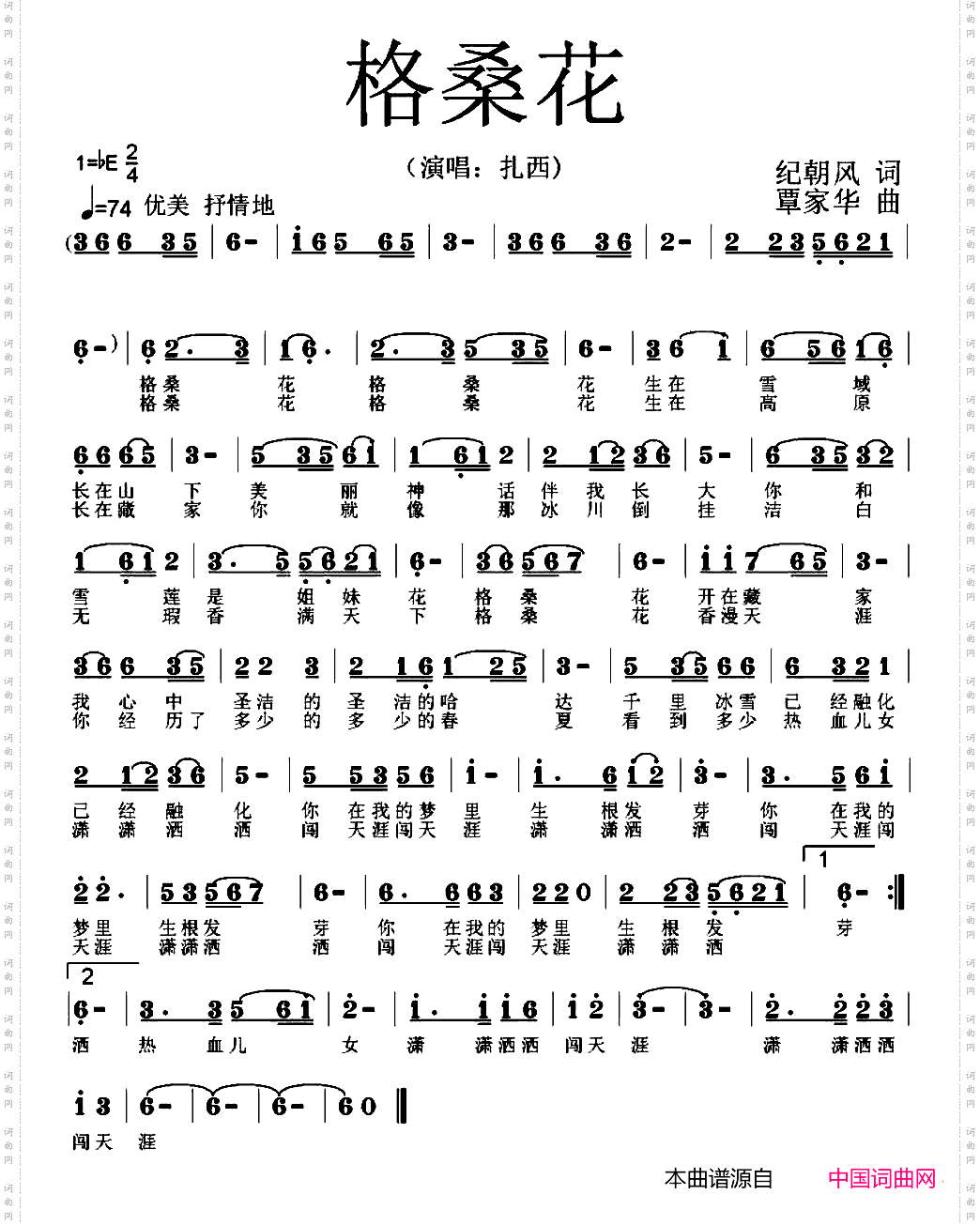 格桑花