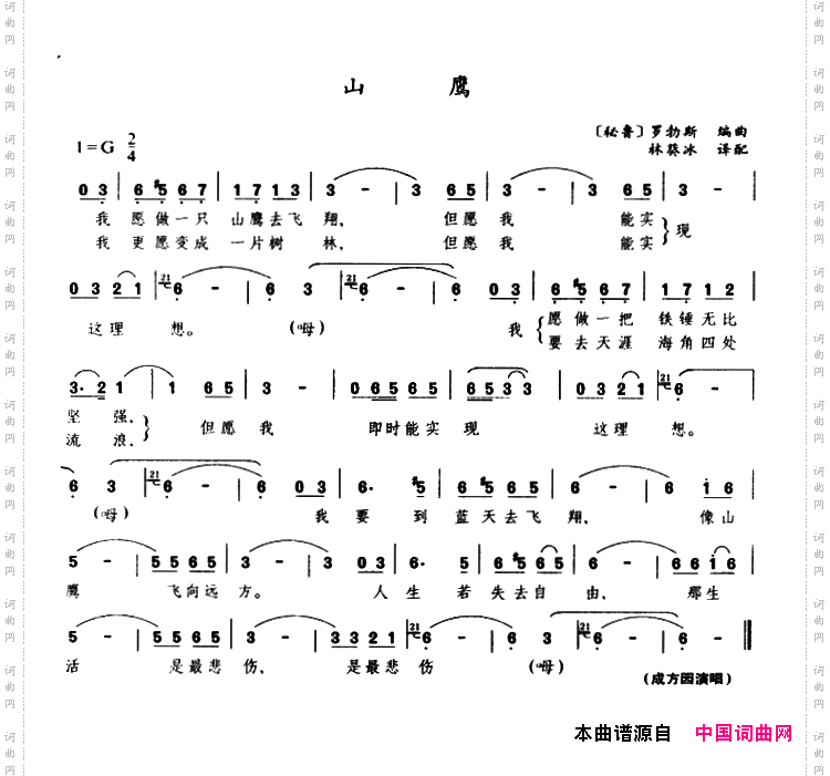 山鹰_【秘鲁】