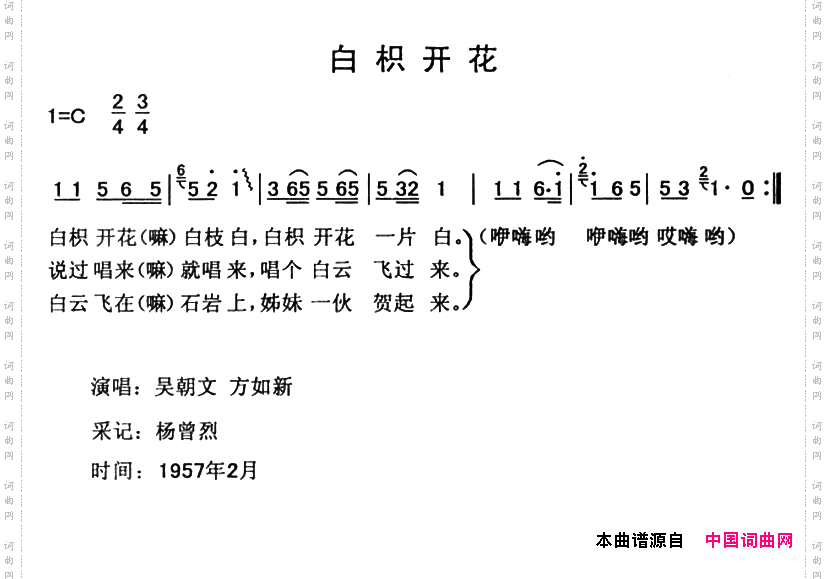 白枳花开